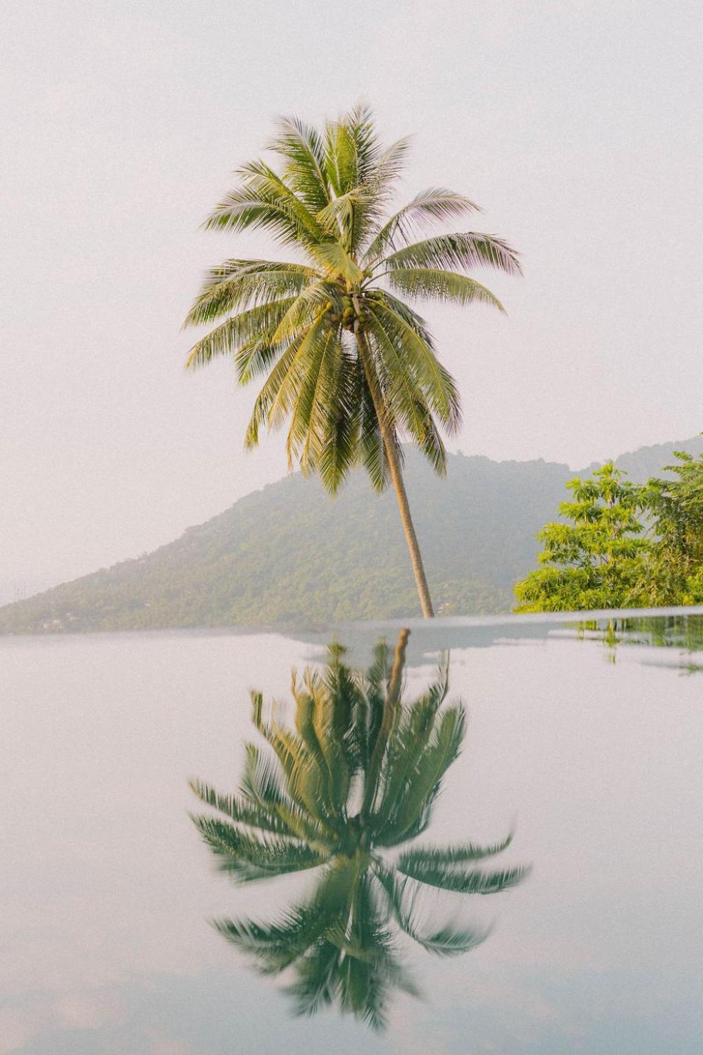 Perfect View Pool Villa Koh Tao Extérieur photo